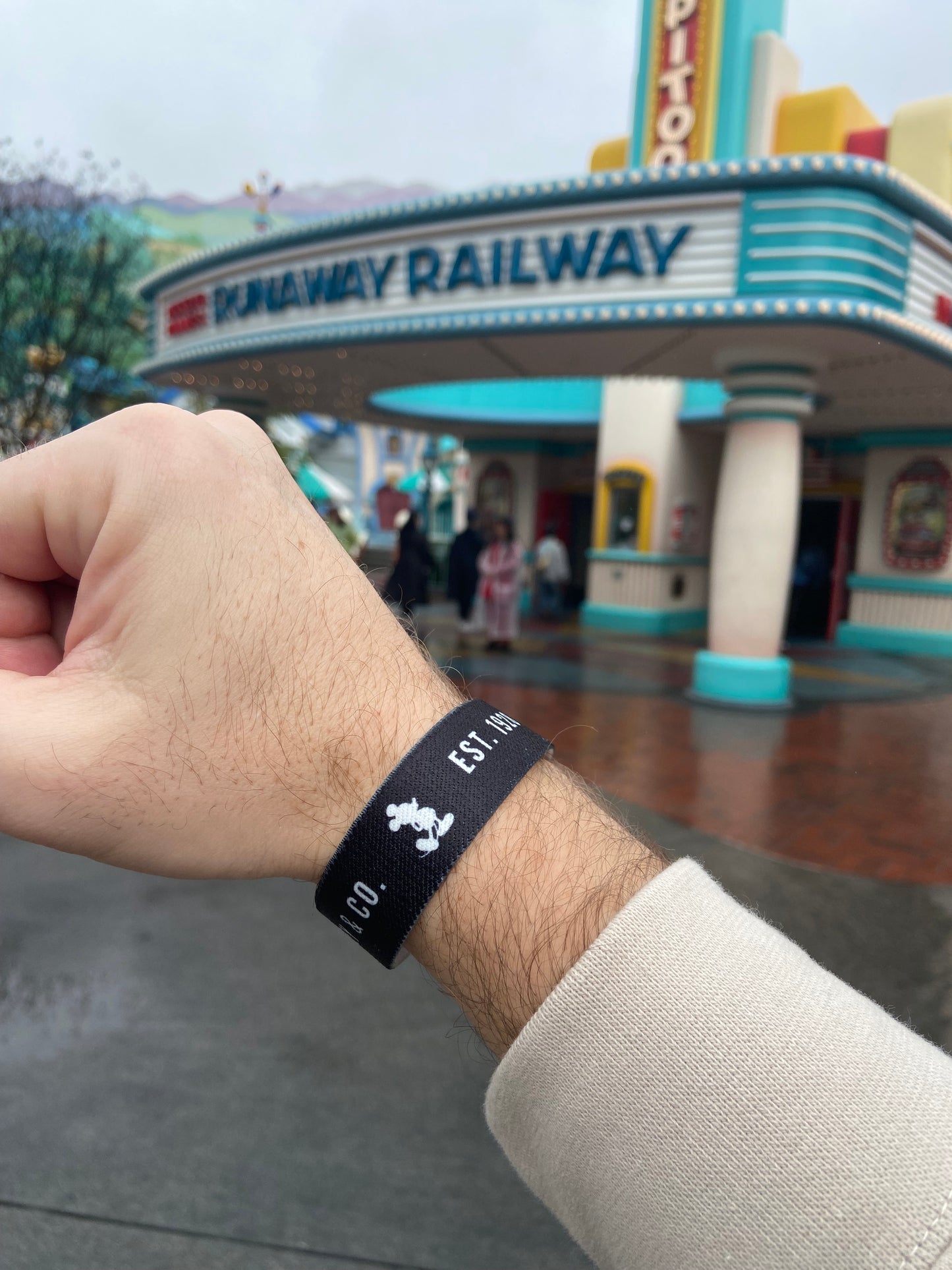 Park Band Wristband- The OG