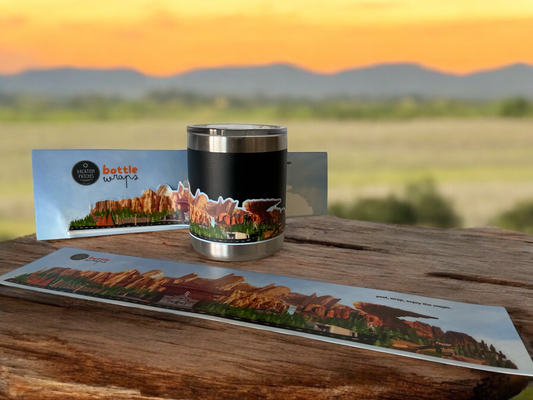 cars land at Disney inspired wrap for water bottle