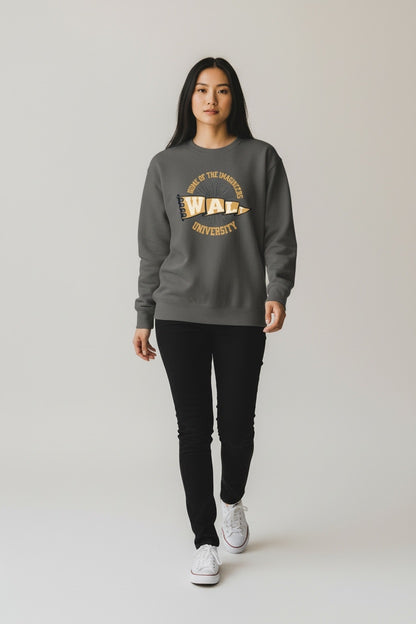 Walt University Flag Sweatshirt