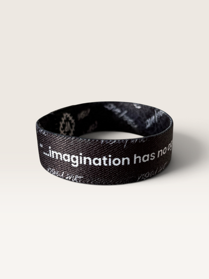 Park Band Wristband- DSNY Adult