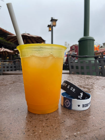 Park Band Wristband- DBC