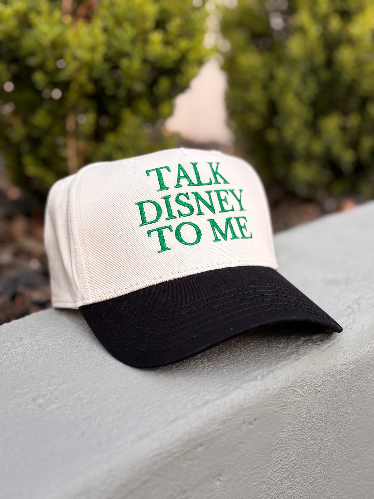 Talk D****y To Me