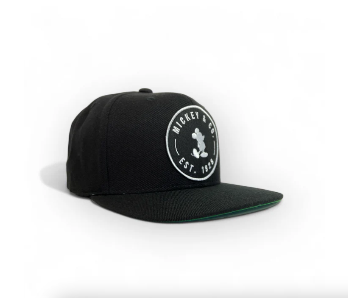 Disney flat bill hats sales